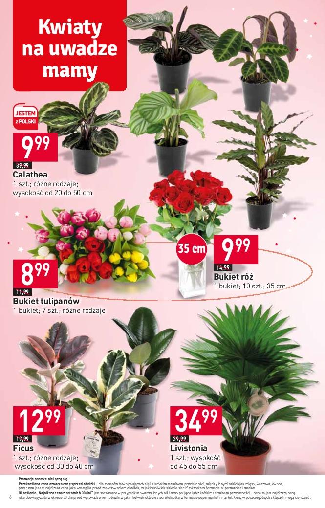 Gazetka promocyjna Stokrotka str. 6
