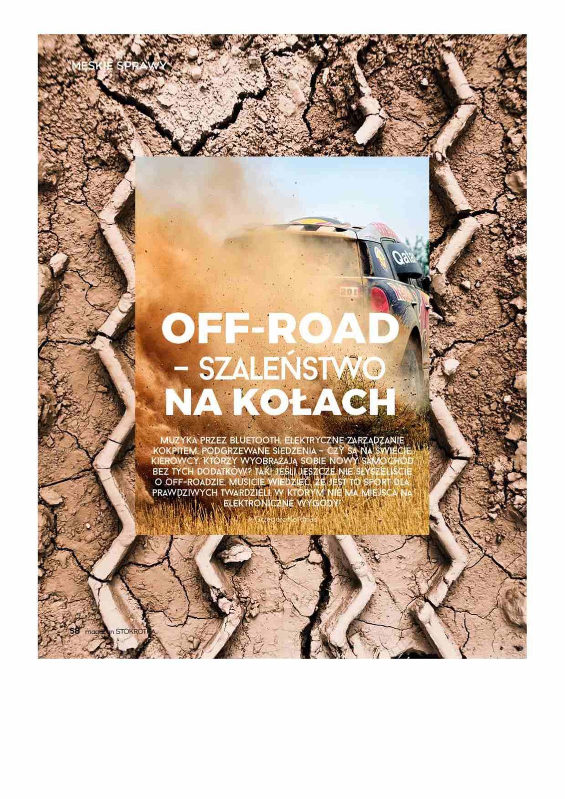 Gazetka promocyjna Stokrotka str. 58