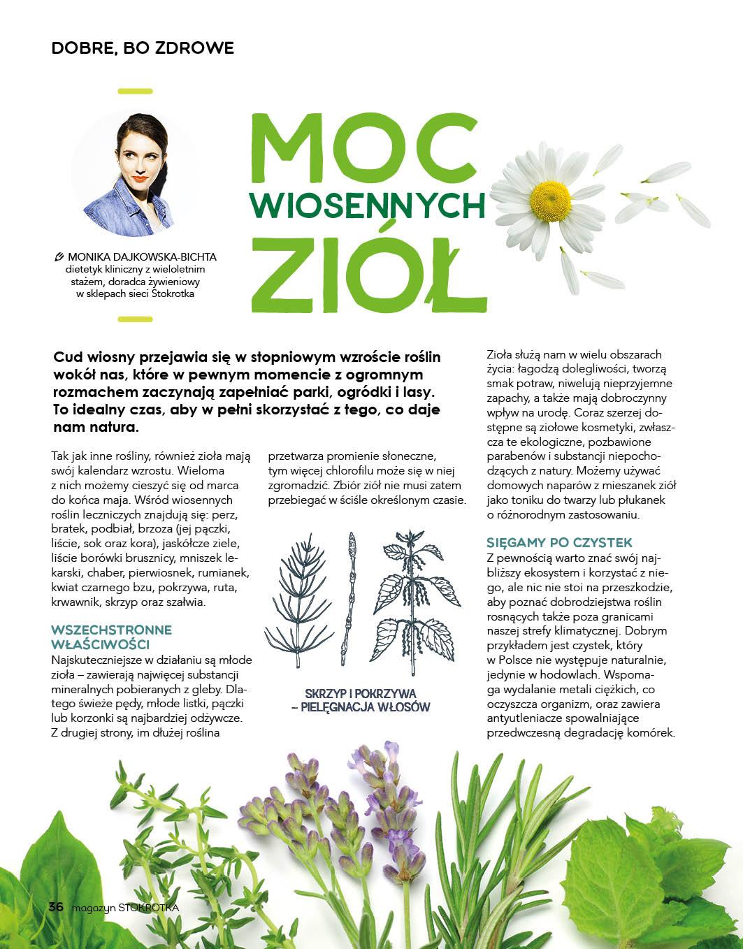Gazetka promocyjna Stokrotka str. 36