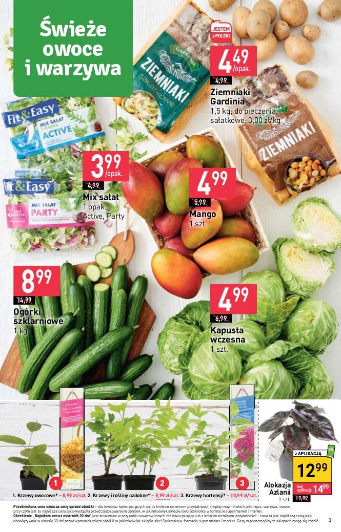 Gazetka promocyjna Stokrotka str. 3